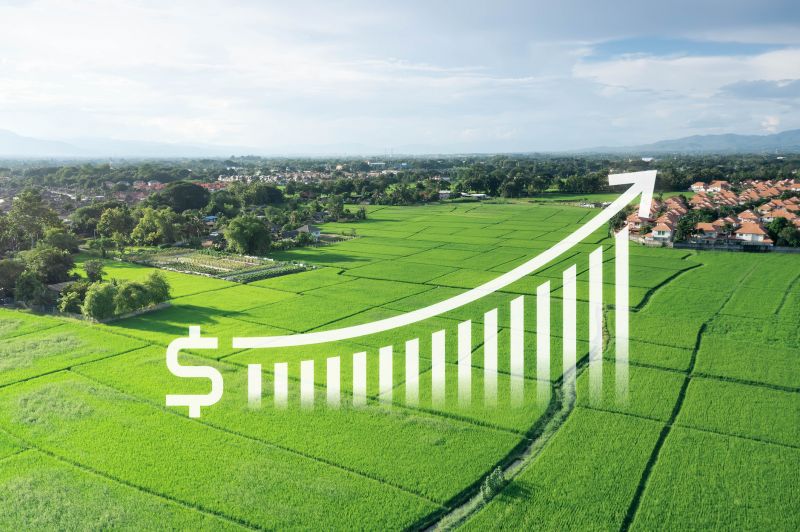 Land Appraisal Service